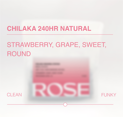 Chilaka Anaerobic Natural