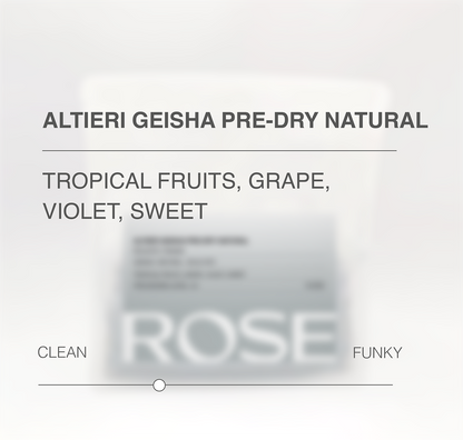 Altieri Pre-dry Natural Geisha DFM