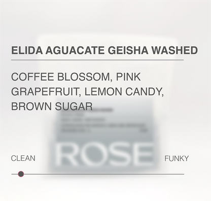 Elida Aguacate Washed Geisha tasting notes and processing scale