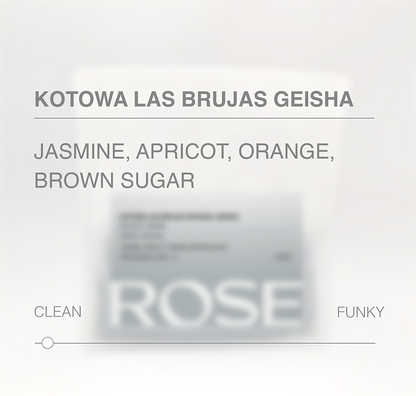 Kotowa Las Brujas Geisha Clean Natural