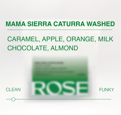 Mama Sierra Caturra Washed
