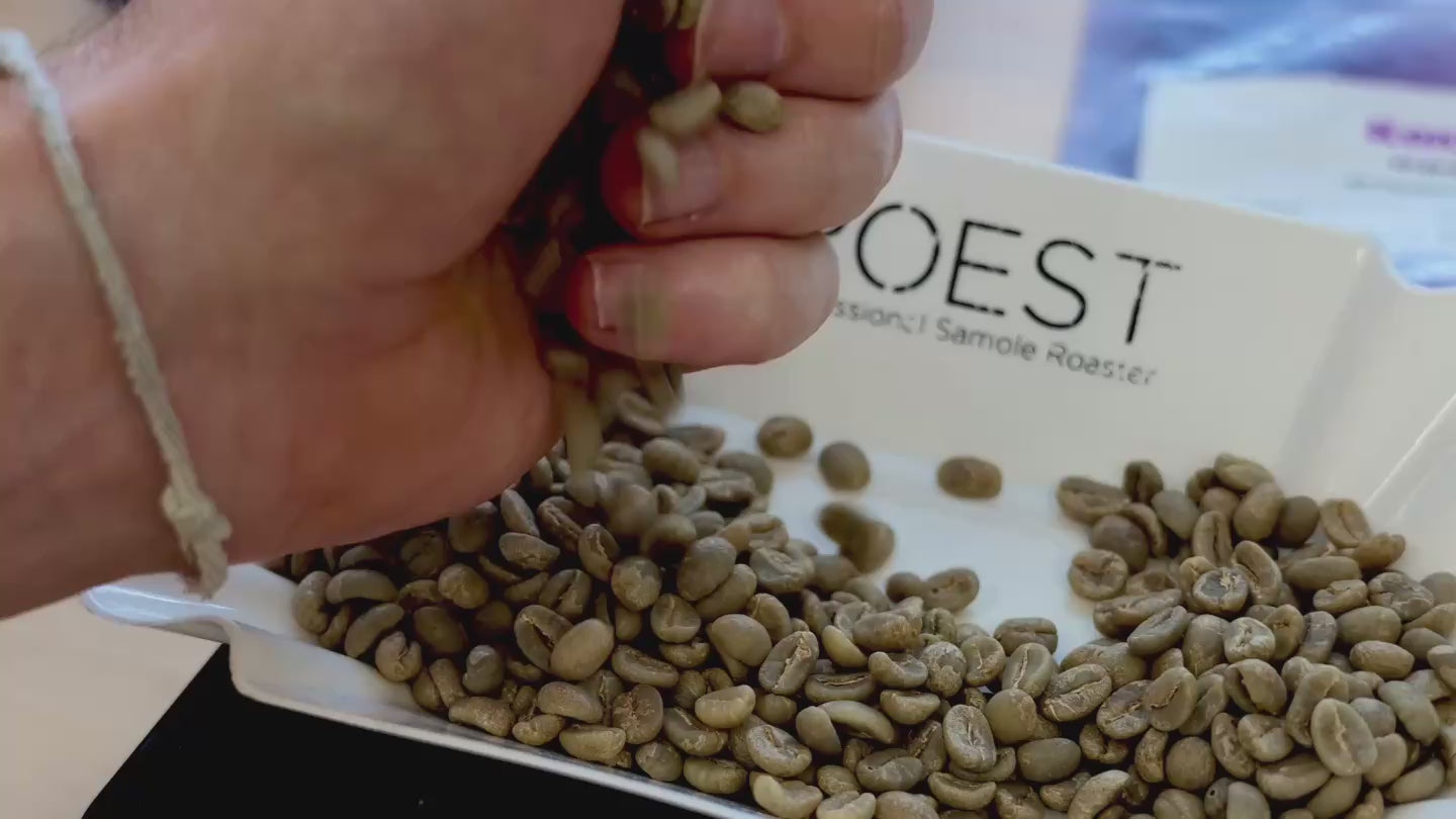 Rose coffee roasting and brewing in Zurich